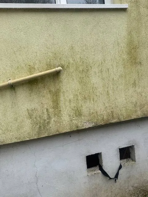 Close-up of a dirty exterior wall with green algae on textured render and a cracking grey lower wall with vents.